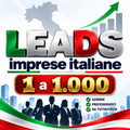 1.000 Leads IMPRESE ITALIANE PROFILATE (da 1 a 1000)